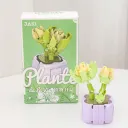 Green Jade And Awn Song