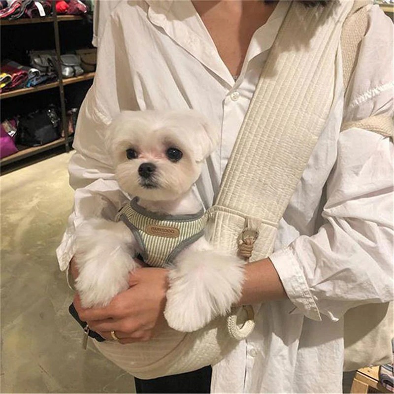 Sac de transport pour petit chien