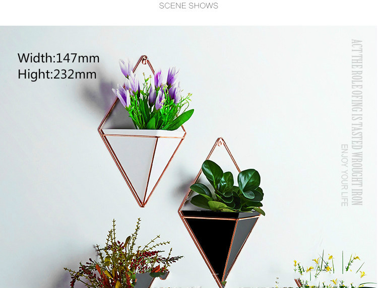 Acrylic Wall Decoration Flower Pot for Home