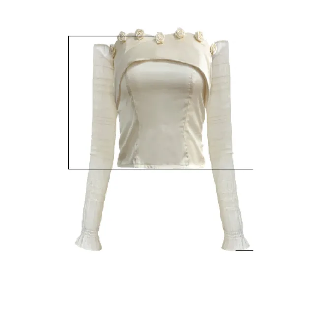 Original French Off Shoulder Sleeves And Bra Top Champagne - Shop at LoveMi