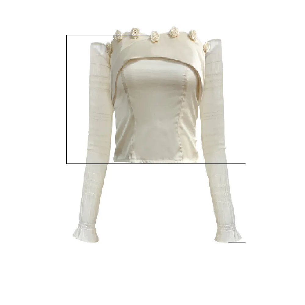 Original French Off Shoulder Sleeves And Bra Top - Champagne