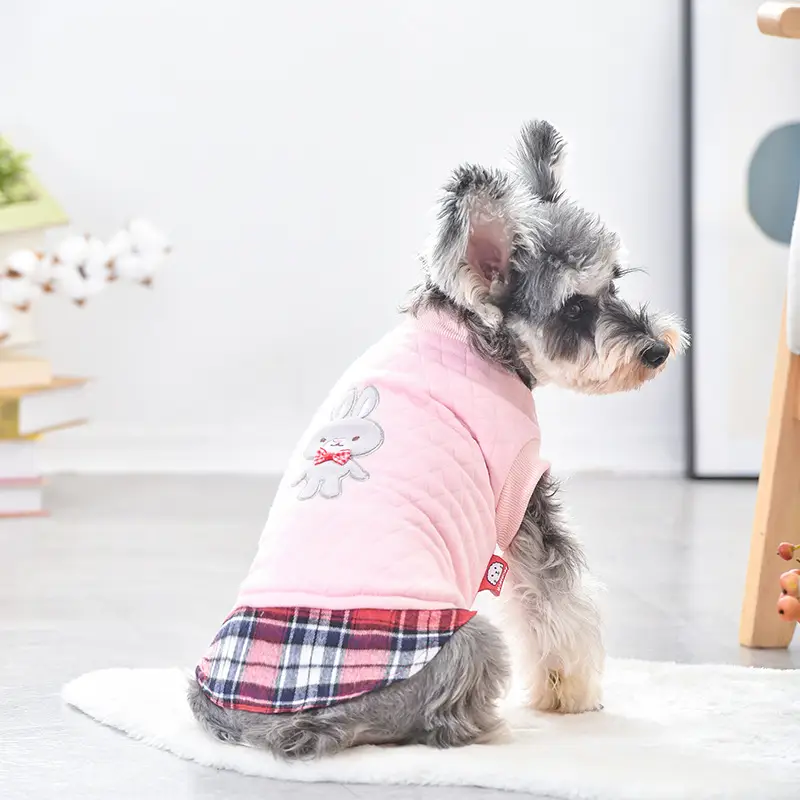 Small Dog Two-legged Warm Teddy Bichon Hiromi Rhombus Top