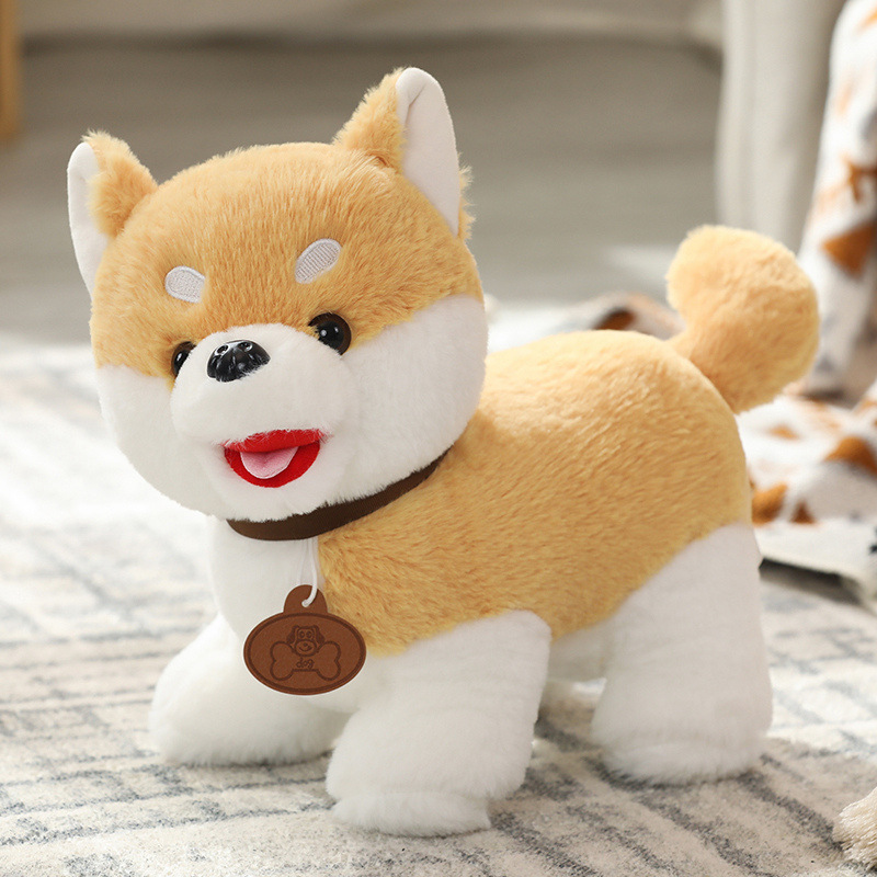 Shiba Inu