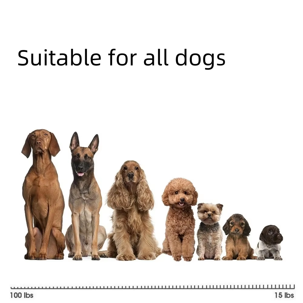 Collar para perros recargable por USB, collar de adiestramiento con vibración, descarga eléctrica y pitido, dispositivo antiladridos automático