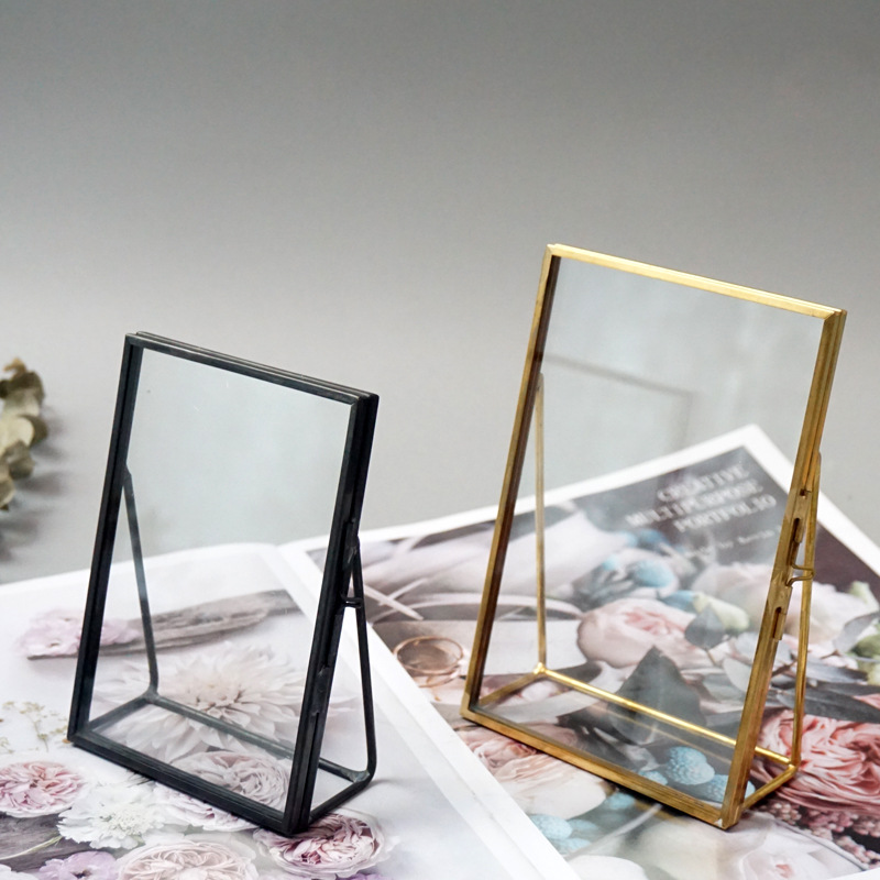 Photo Frame Photo Frame Plant Specimen Feather Photo