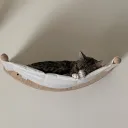 Hammock