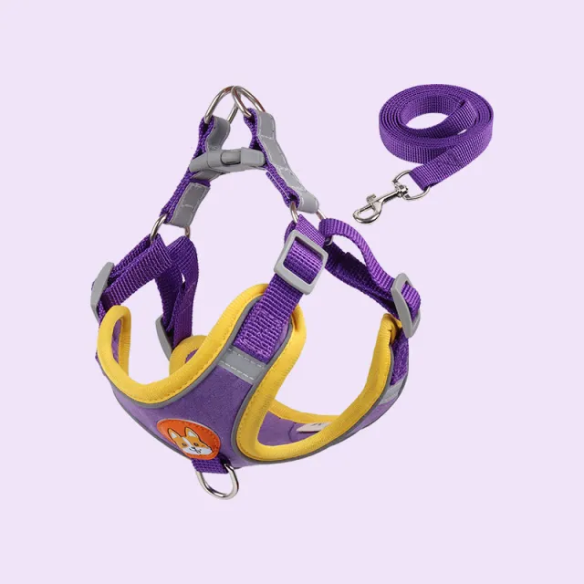 Leash Vest Type Chest Strap Chain Pet Collar Purple - Shop at LoveMi