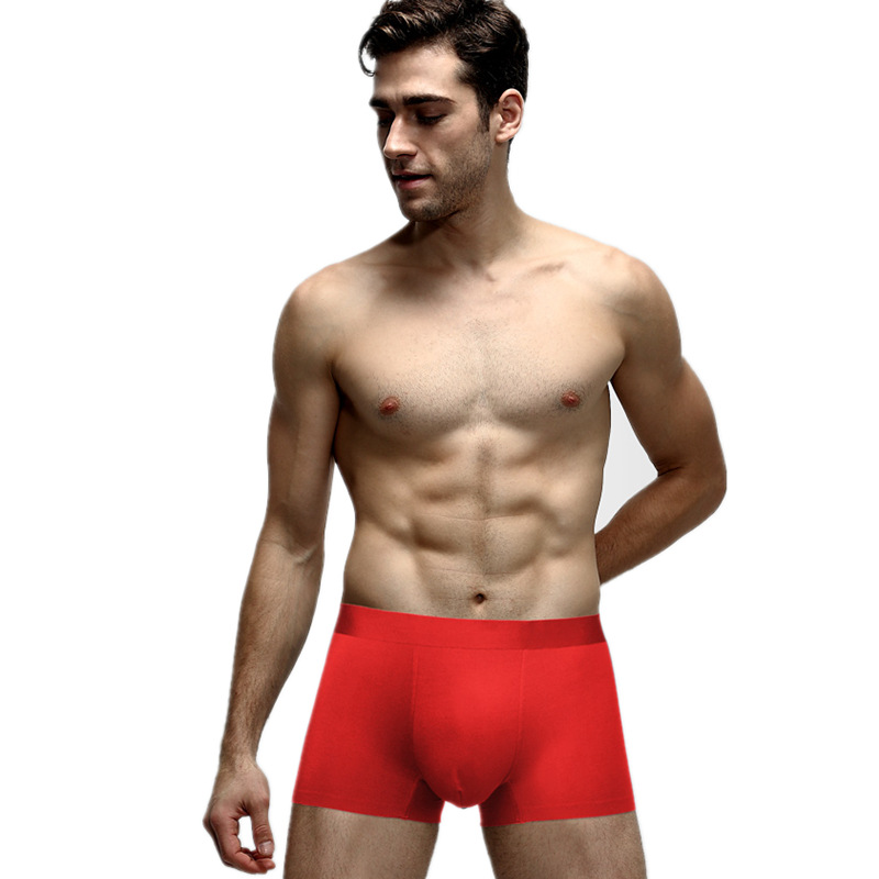 Title 2, Intimo uomo business con angolo piatto, boxer c...