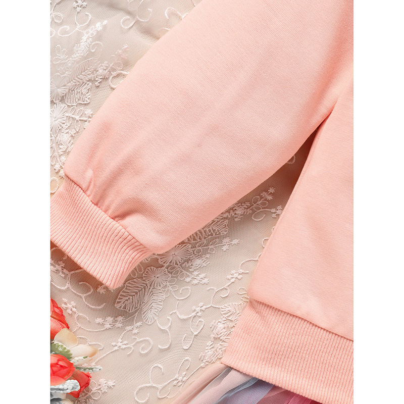 Baby Girls Rainbow Skirt Set Letters Embroidery Long Sleeve Sweatshirt Tops & Rainbow Tutu Skirt Outfits — foto 10