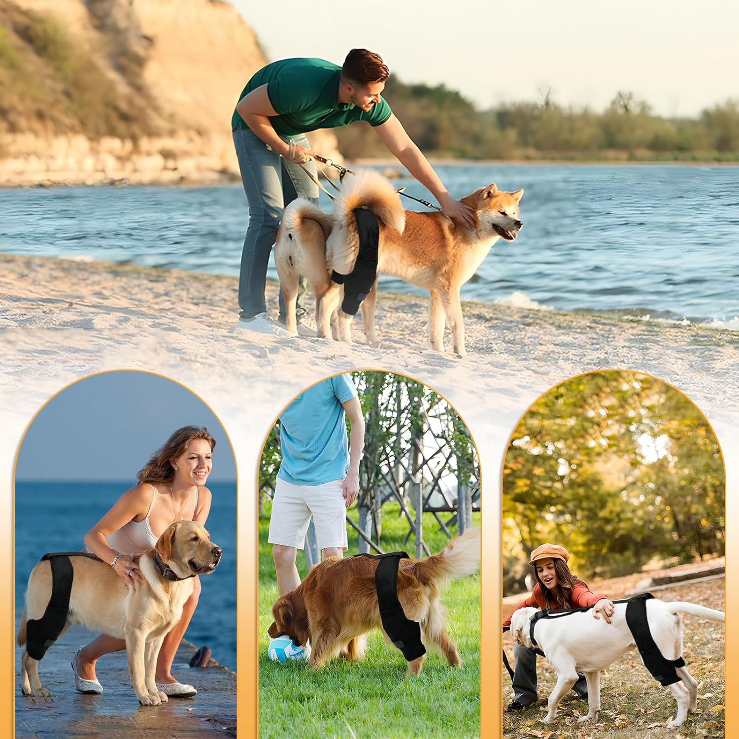 Dog Knee Brace -- Joint Protection