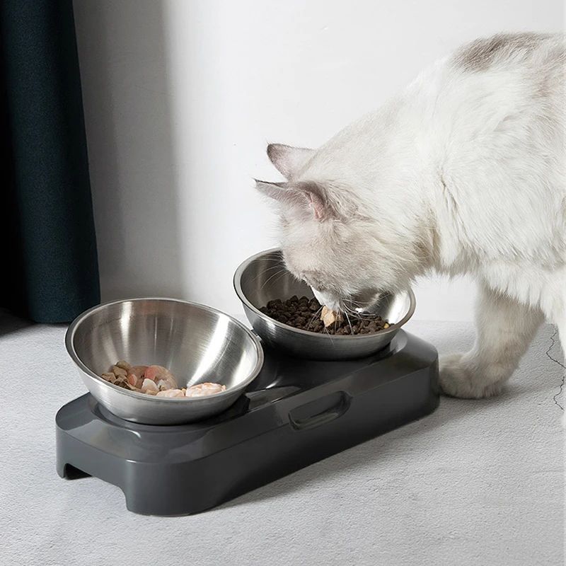 Title 4, Easy to Clean Stainless Steel Cat & Dog Bowls w...