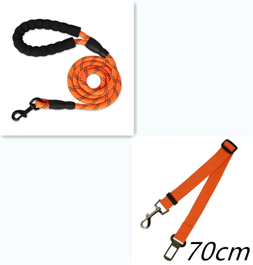 Reflective Dog Leash Nylon Pet Dog Leash Rope For Small Medium Large Dogs Walking Training Pet Suppiles Orange Set - Shop at LoveMi