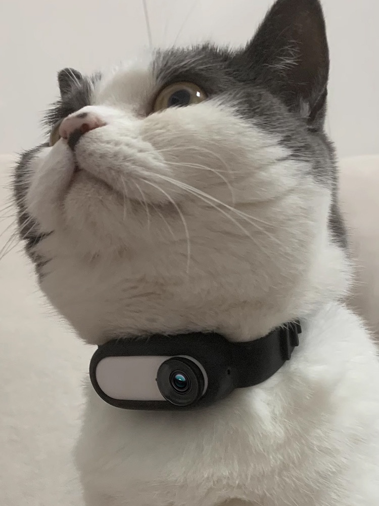 Black Collar Camera