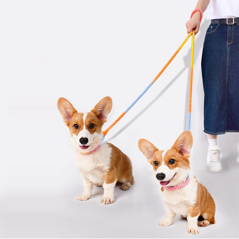 Laisse multifonctionnelle pour chien à double tête