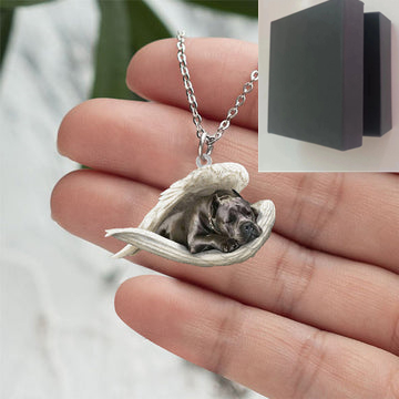 Acrylic Plane Lazy Dog Hanging Necklace