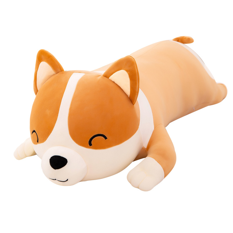 Lying Corgi