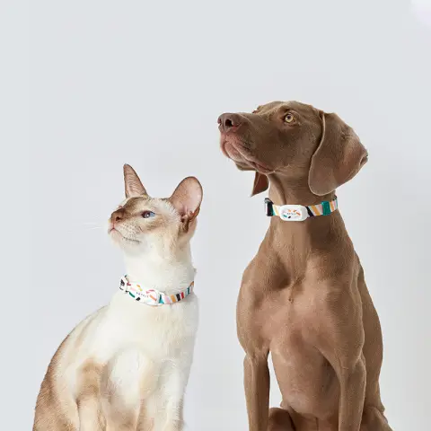 Pet Smart Wearable Bluetooth Device Cat Brand Dog