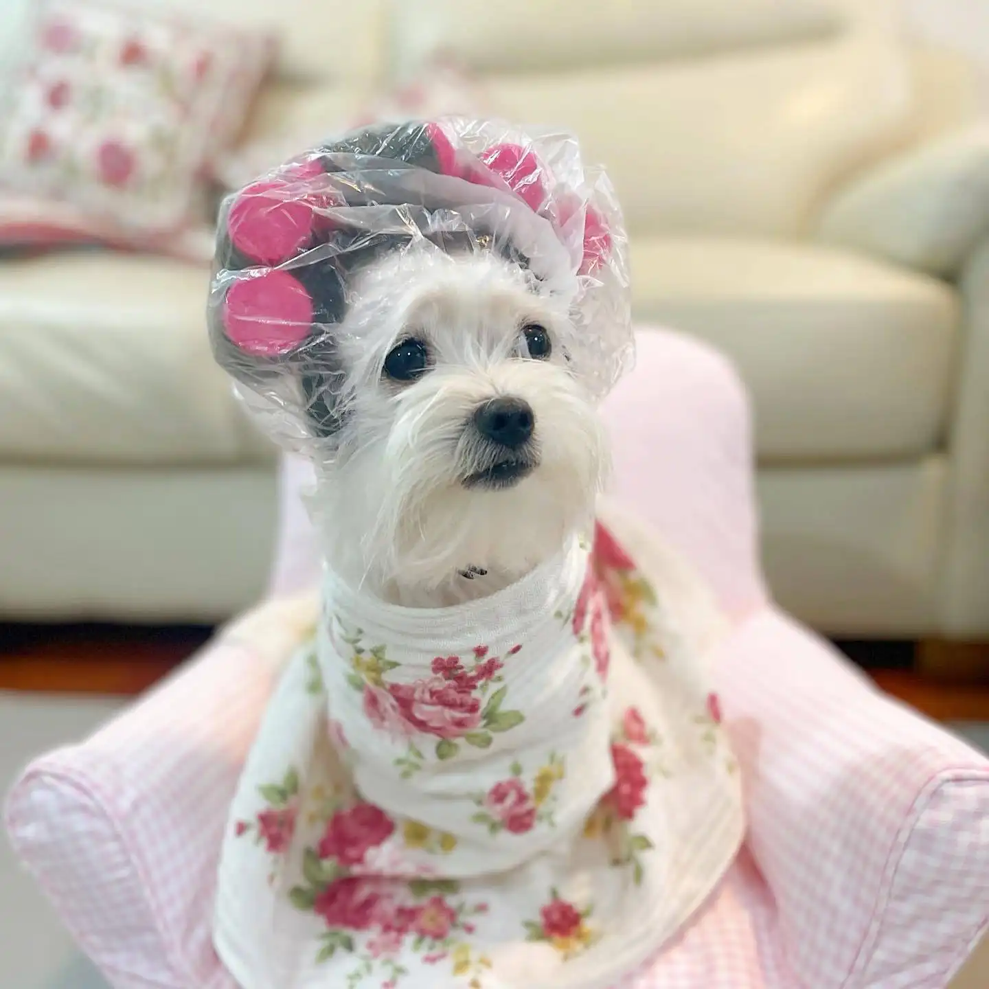 Curly Hair Perm Haircut Drag Head Cover