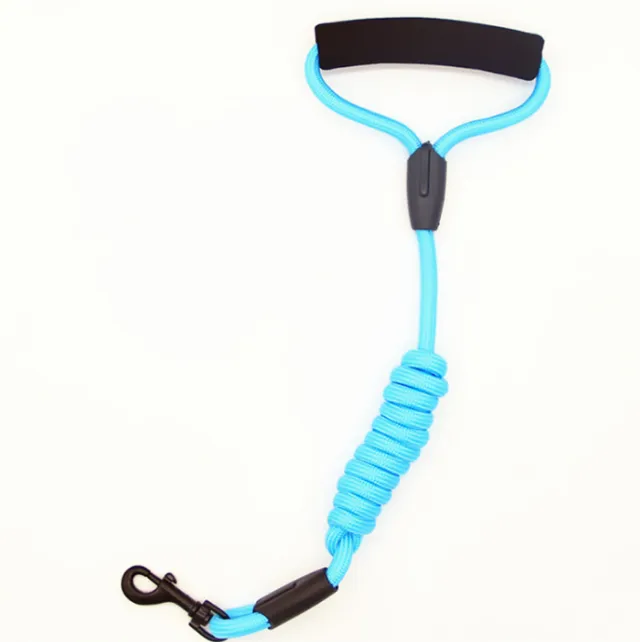 Pet Dog Nylon Reflective Collar Rope Blue - Shop at LoveMi