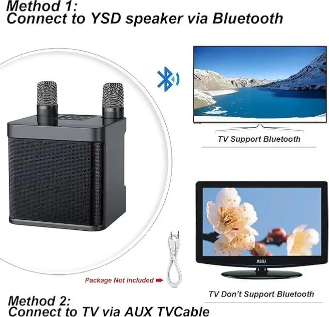 Portable Bluetooth Karaoke Machine