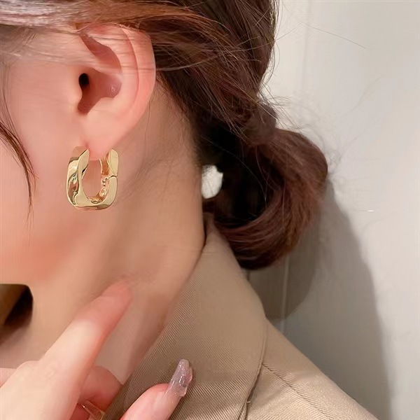 Women's Stylish Graceful Simple Frosty Style Earrings