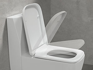 Toilet Seat
