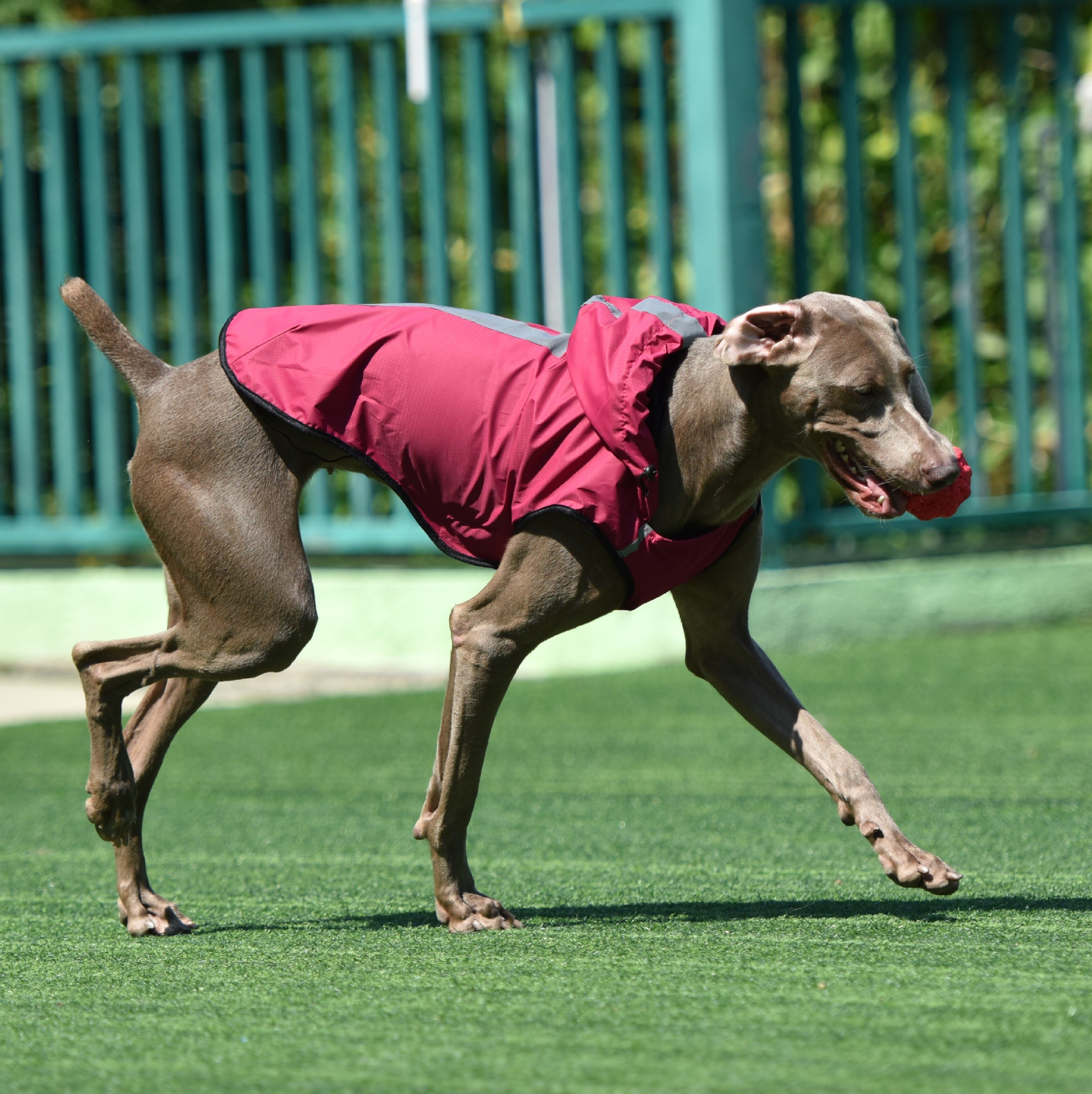 Two-foot Hooded Waterproof Dog Clothes Raincoat