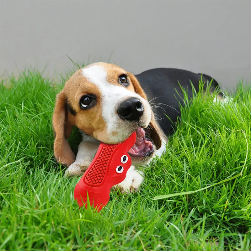 Vocal Rugby Pet Toys Natural Rubber Teething Resistant Biting