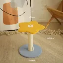 Starfish Cat Basics