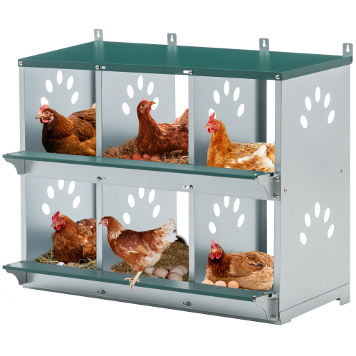 Chicken Nesting Box, 6 Room Metal Nesting Boxes For Chicken,Galvanized Steel Nesting Boxes For Hens,Easy To Assemble Green - Shop at LoveMi