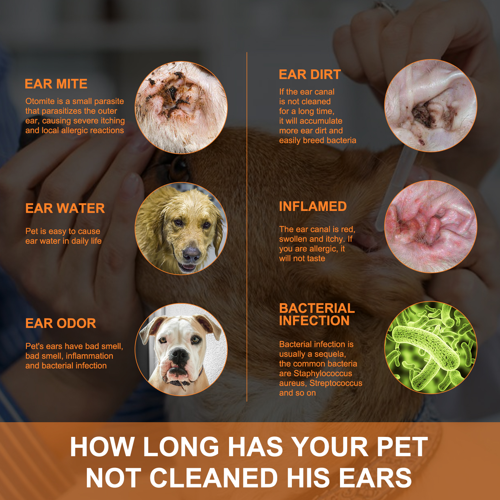 View 5