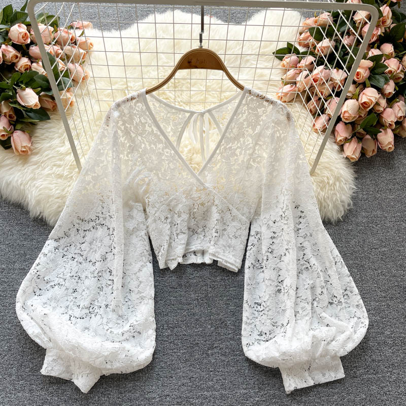 Solid Color Elegant V Net Lantern Sleeve Lace Top Sheer Back Tie Detail Women's Fashion Blouse White - Shop at LoveMi