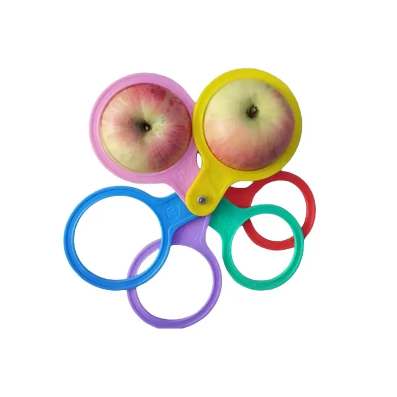 Multi-Pack Fruit Sorting Rings Set