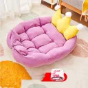 Purple And Blanket