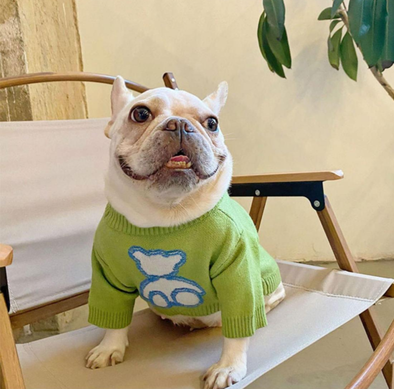 Pet Clothessweater Pug Corgi Short Body Autumn Winter