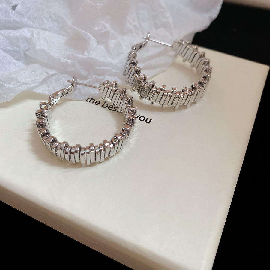 Silver Needle High-End Circle Stud Earrings Niche Design Cold Style Ear Ornaments