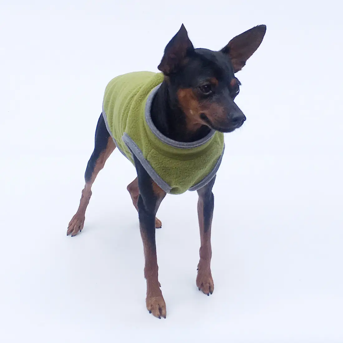 Pet Clothes Dog Clothing Polar Fleece