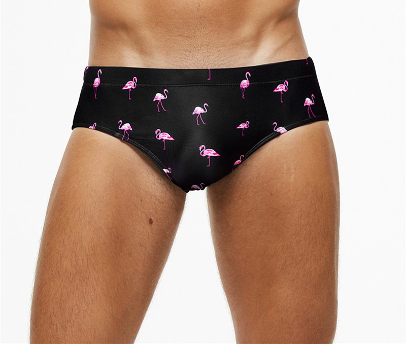 Briefs little flamingo