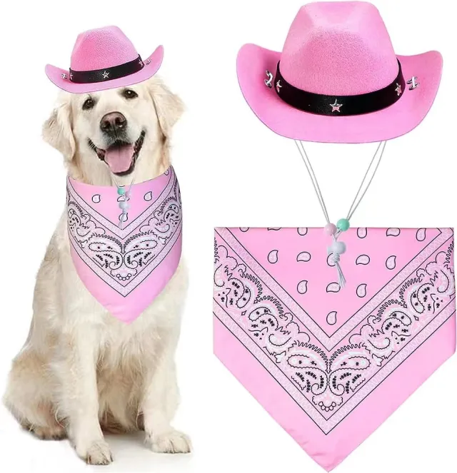 Cat Cowboy Costume Cat Cowboy Hat And Bandana Set Cat Halloween Costumes Cowboy Cat Pet Costume Funny Halloween Costumes For Cats Kittens Pets Sm... Small 13.5Cm - Shop at LoveMi