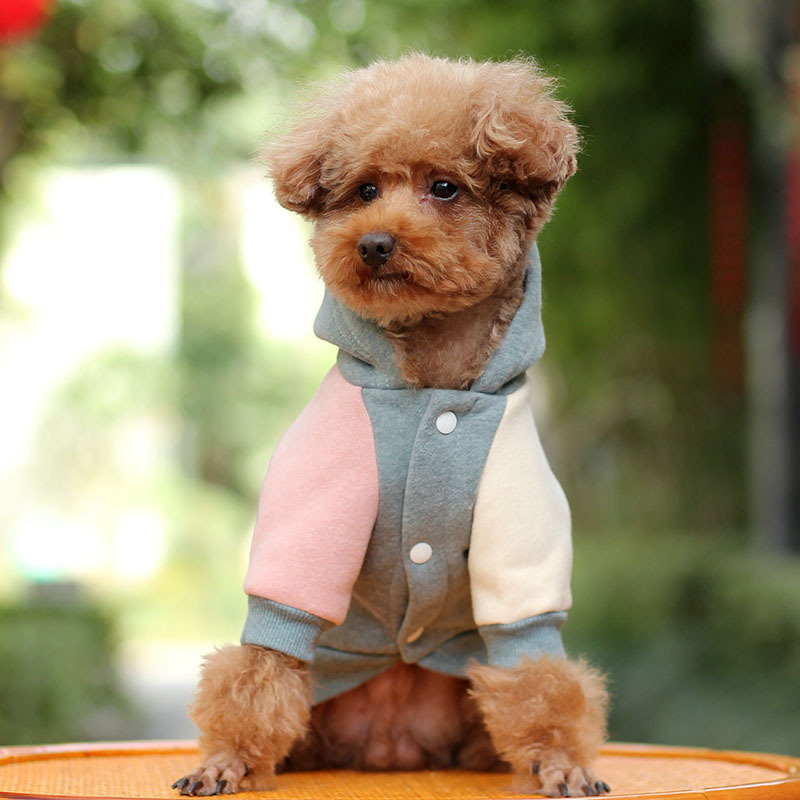Small Dog Pet Autumn Coat Keeps Warm Green - Shop at LoveMi