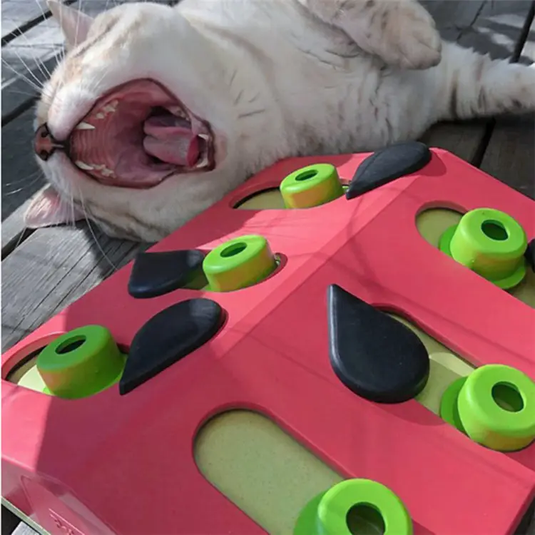 The Cat Grasps Board And Misses Food