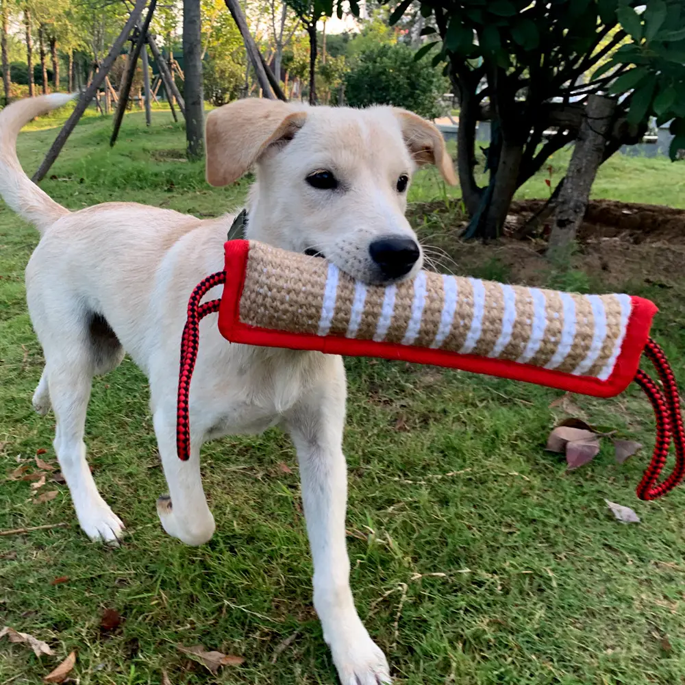 30cm Molar Coarse Hemp Biting Stick, Bite-resistant