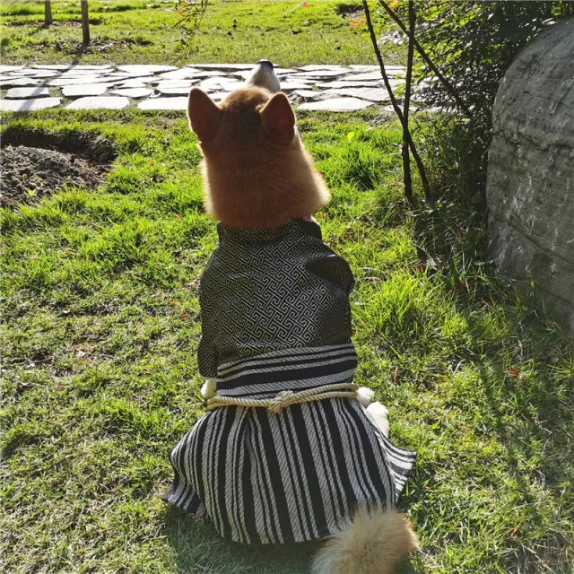 New Pet Dog Samurai Zephyr Clothes Black - Shop at LoveMi