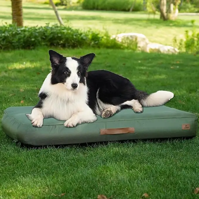Medium Dog Outdoor Removable And Washable Inflatable