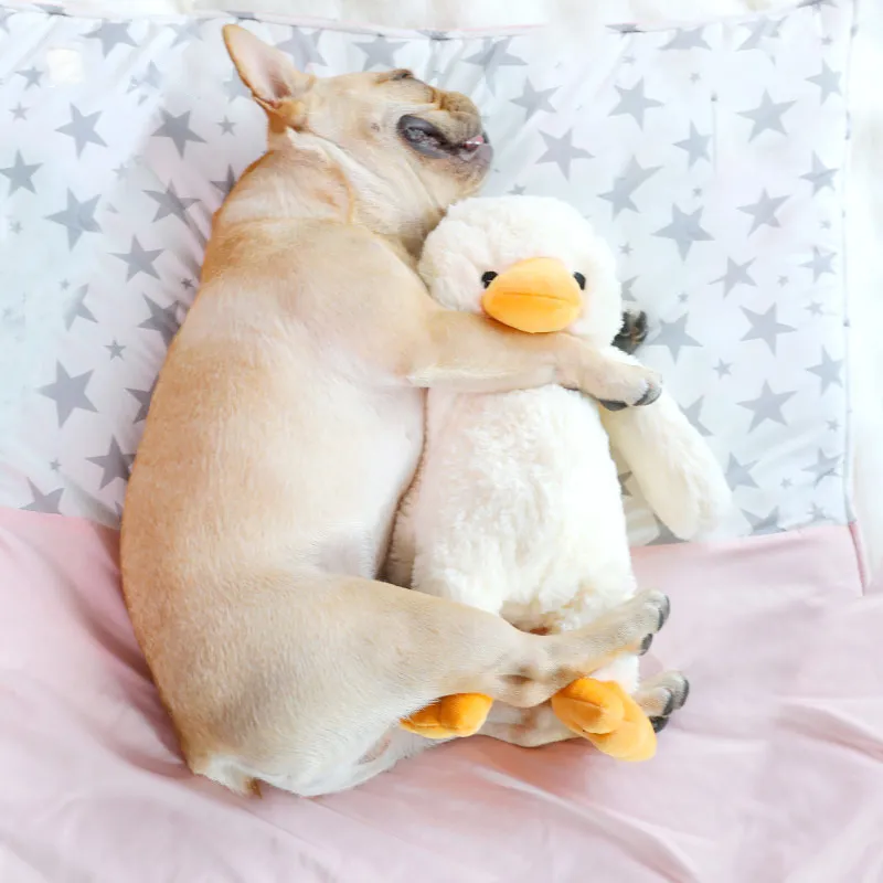 Pet Supplies Dog Plush Toys – image 2
