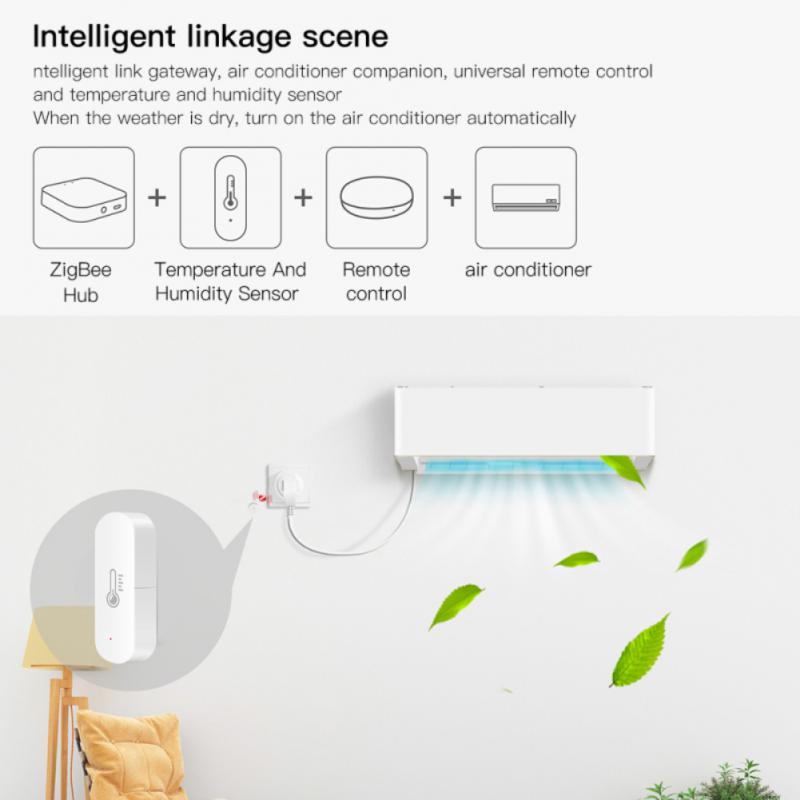 Doodle Zigbee Hygrograph Wifi Smart App Remote Aleax Voice Control — foto 2