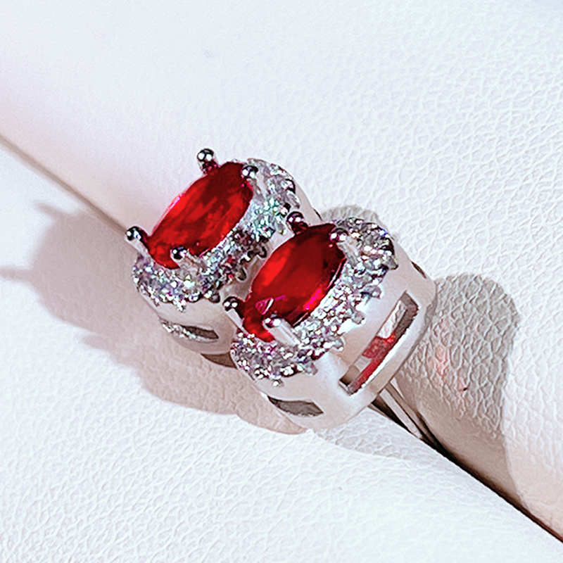 Women's Fashion Set Zircon Earrings