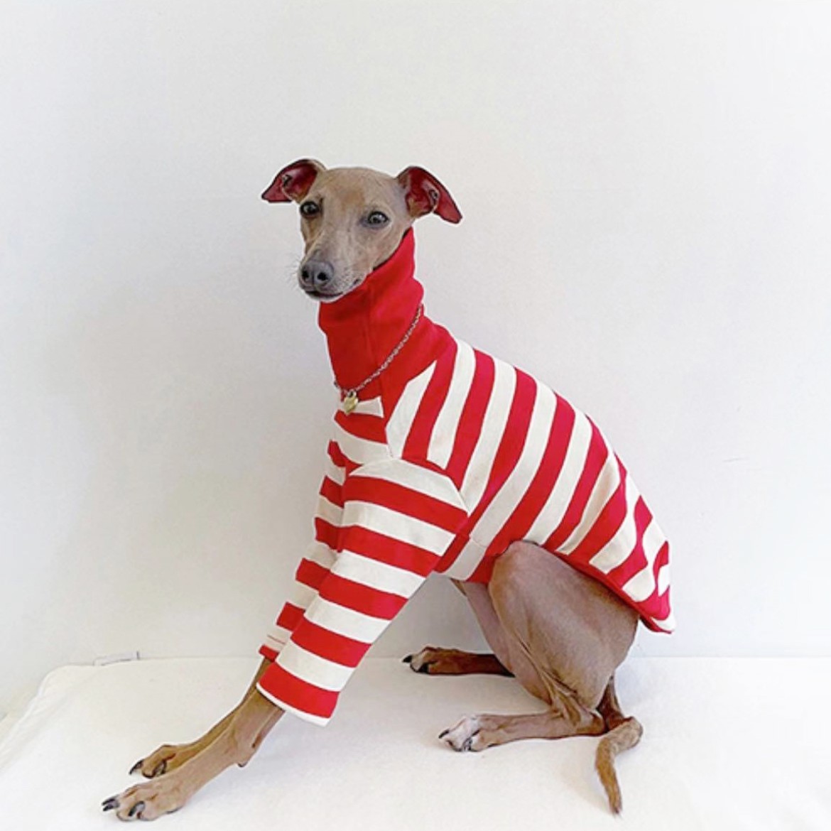 High Collar Striped Cotton Stretch Feet Dog Clothes