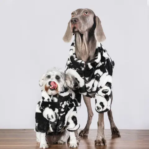 Winter Warm Thick Padded Coat for Pet Cats