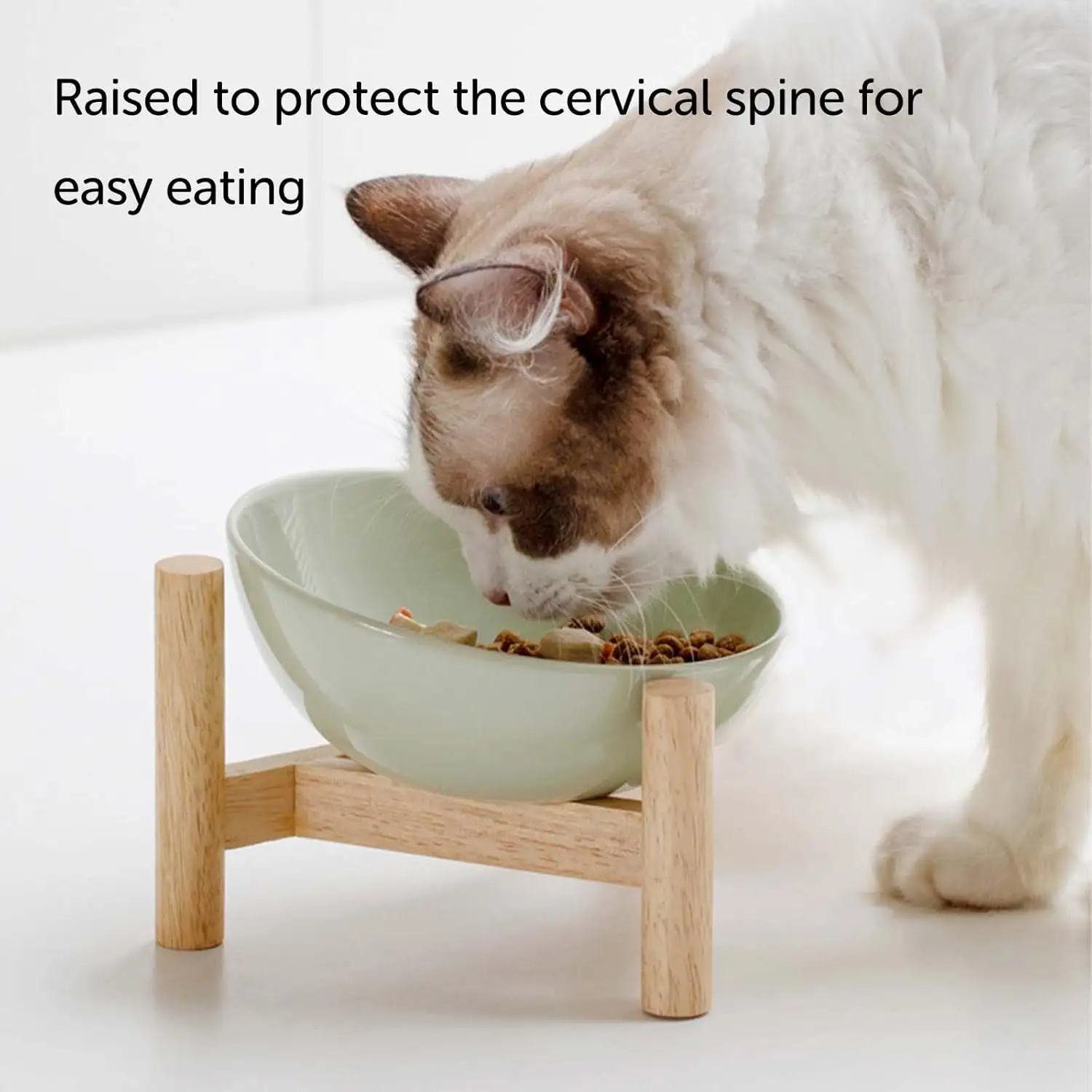 Elevated Raised Bowl For Indoor Cats, Cat